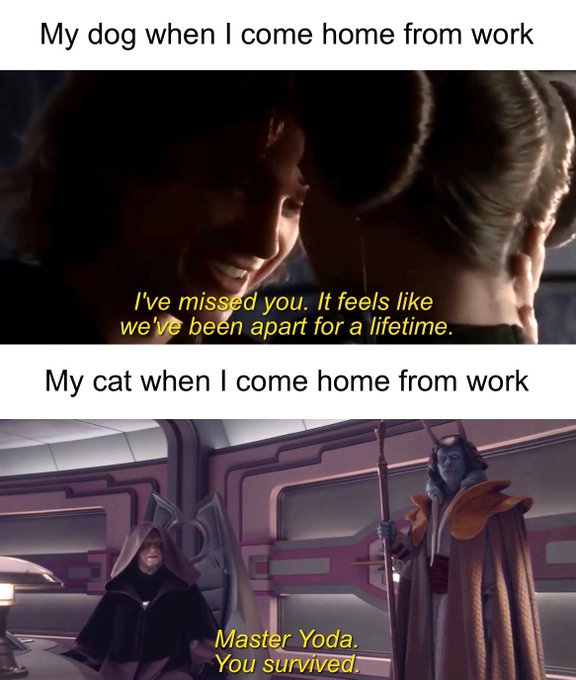 Name:  Fej8VJaVIAAoSfw.jpg
Views: 27
Size:  60.7 KB