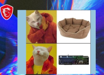 Name:  20221012_144421.jpg
Views: 66
Size:  30.4 KB