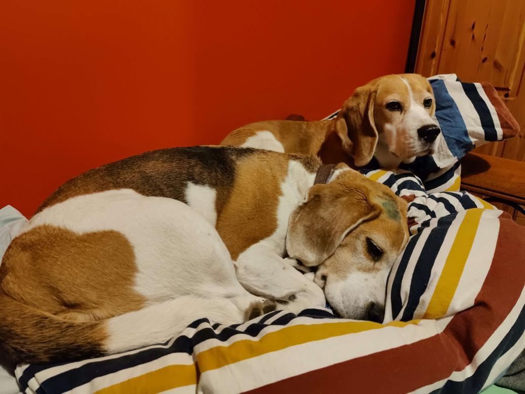 Name:  IMG_20221009_195258.jpg
Views: 70
Size:  89.0 KB