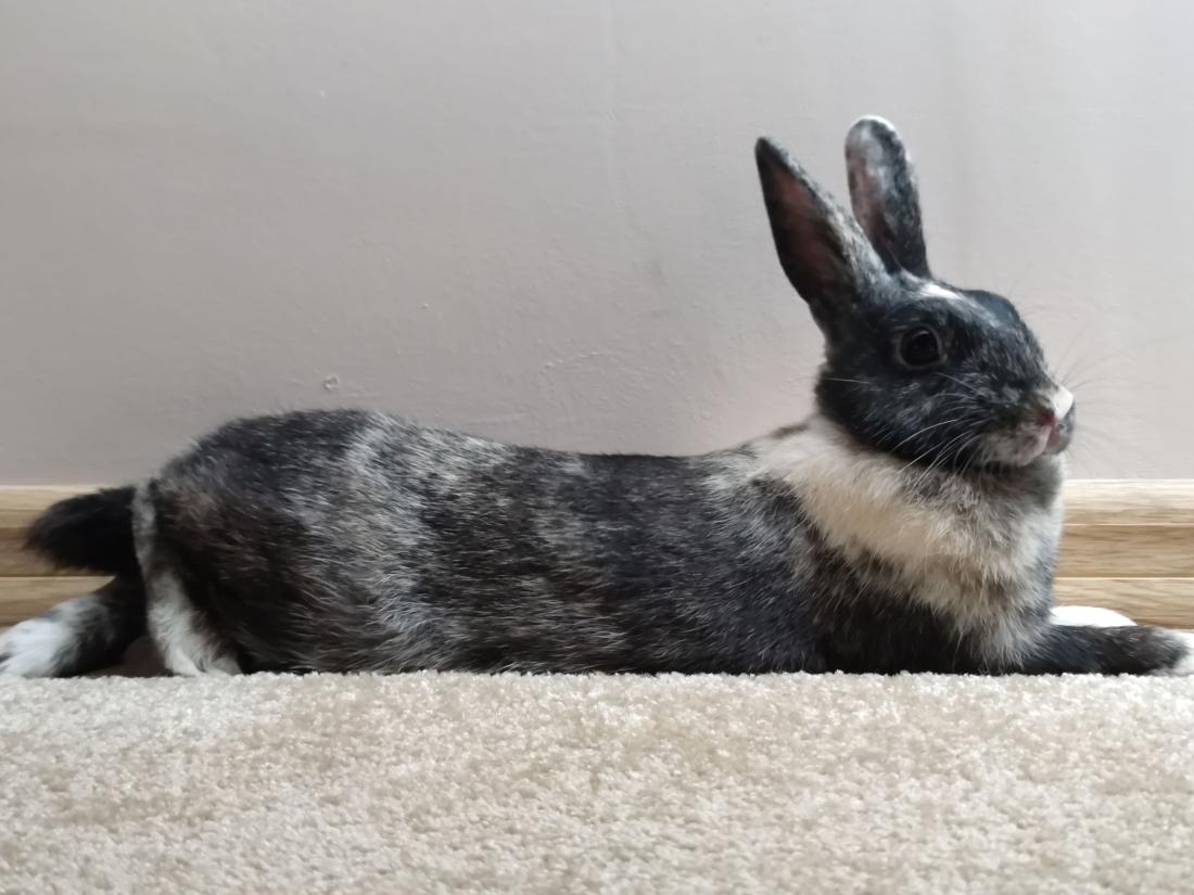 Name:  IMG_20220802_1712162.jpg
Views: 70
Size:  87.1 KB