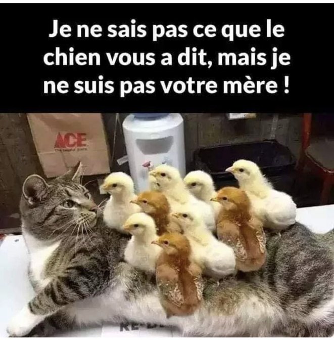 Name:  Fe-GcQ8WYBwdeKi.jpg
Views: 27
Size:  78.6 KB