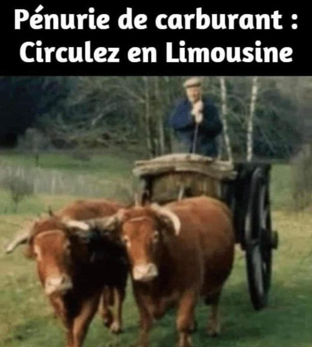 Name:  Fe9sYwxWAAAhwtM.jpg
Views: 27
Size:  56.3 KB