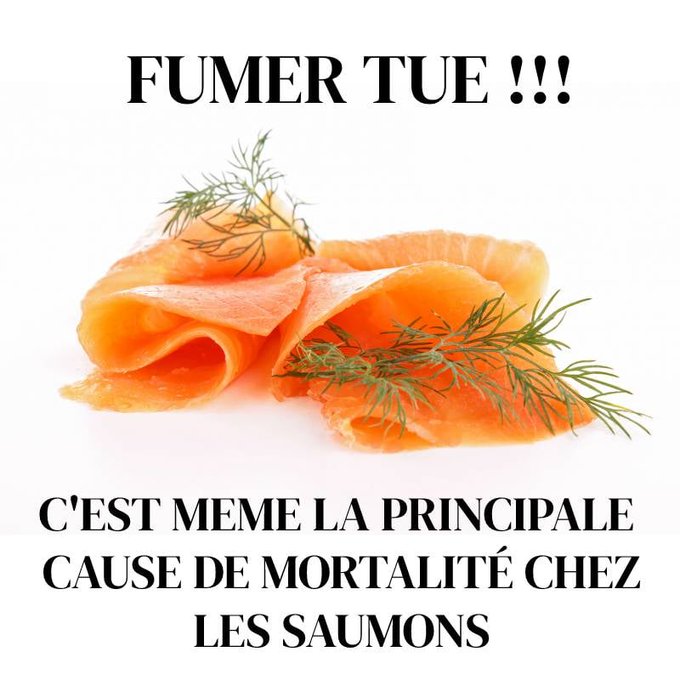 Name:  Fe93IrXXkAI_yYc.jpg
Views: 27
Size:  61.4 KB