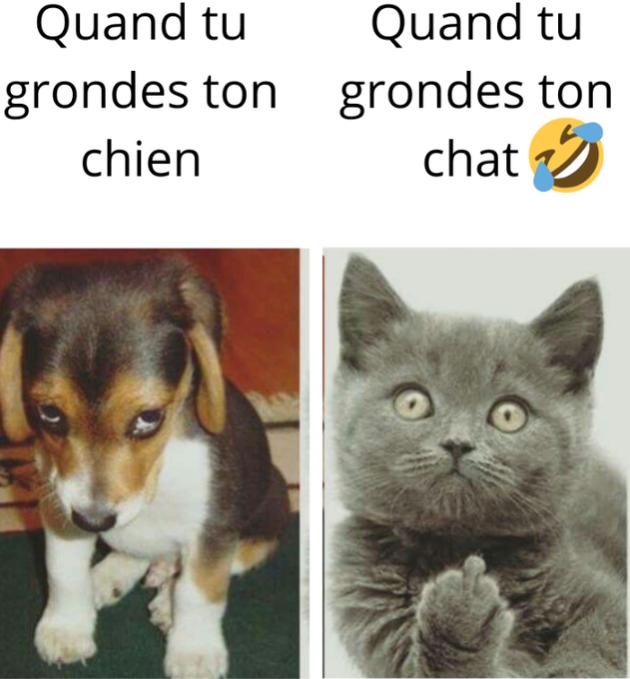 Name:  Fe7HAqpWIAIP9_z.jpg
Views: 26
Size:  49.6 KB