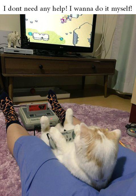 Name:  FfIWS3RXgAABgUD.jpg
Views: 58
Size:  46.1 KB