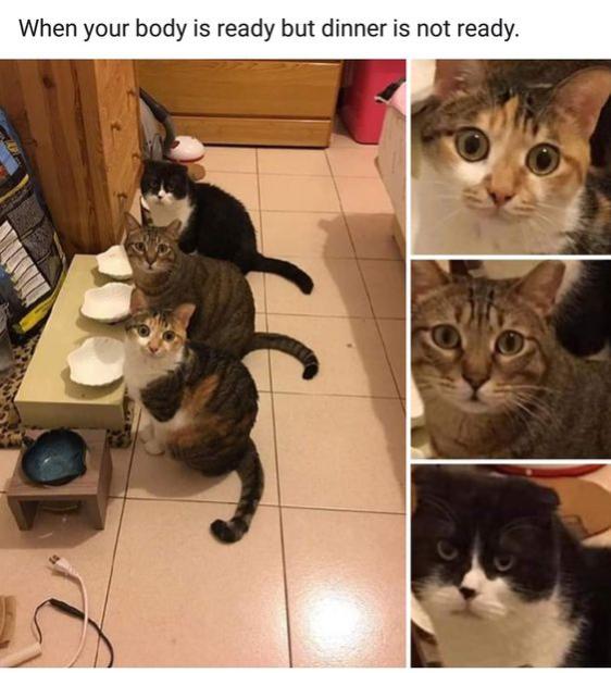 Name:  FfIa44fXEAEztkD.jpg
Views: 50
Size:  49.6 KB