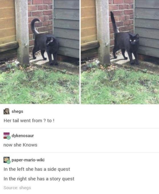 Name:  FfIZr9EX0AgcANY.jpg
Views: 49
Size:  44.9 KB