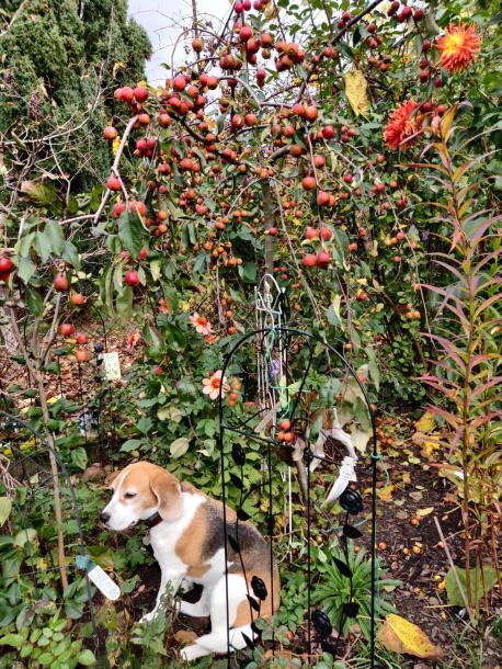 Name:  IMG-20221019-WA0001.jpg
Views: 73
Size:  106.0 KB