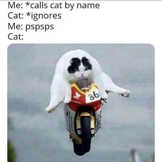 Name:  FfYR-mIWYAQ9yvp.jpg
Views: 15
Size:  29.1 KB