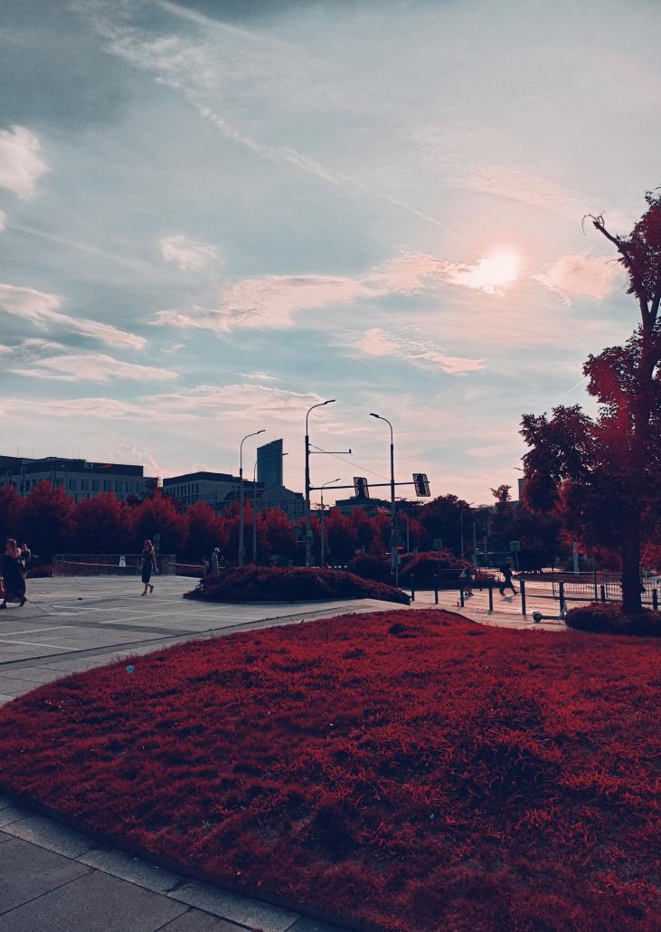 Name:  inbound4992317385253094646.jpg
Views: 57
Size:  94.5 KB