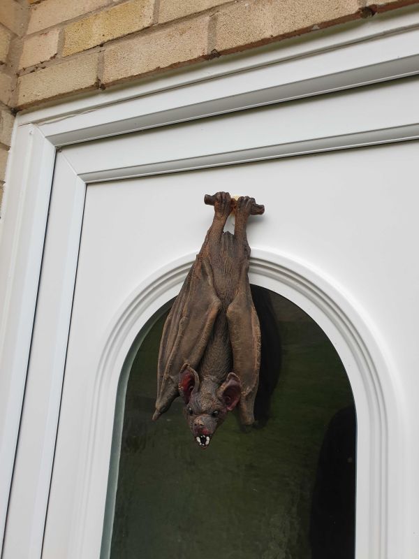 Name:  20221022_173216.jpg
Views: 100
Size:  55.6 KB