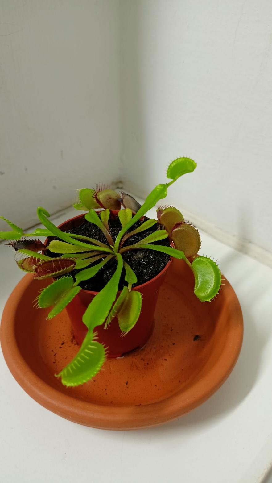 Name:  IMG20221104171847.jpg
Views: 117
Size:  84.6 KB