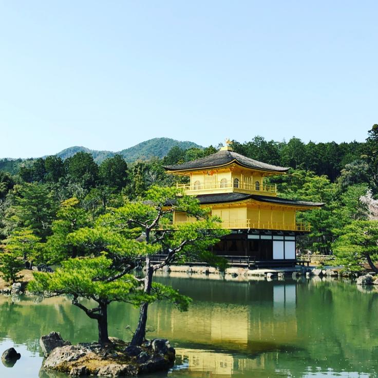 Name:  F4360594-928D-40AD-A322-04600E94397E.jpg
Views: 116
Size:  91.7 KB