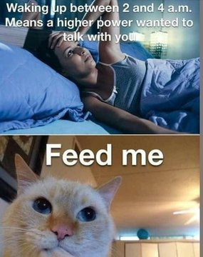 Name:  20221109_145639.jpg
Views: 61
Size:  26.4 KB