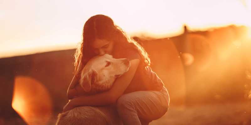 Name:  KindGesture.jpg
Views: 52
Size:  15.9 KB