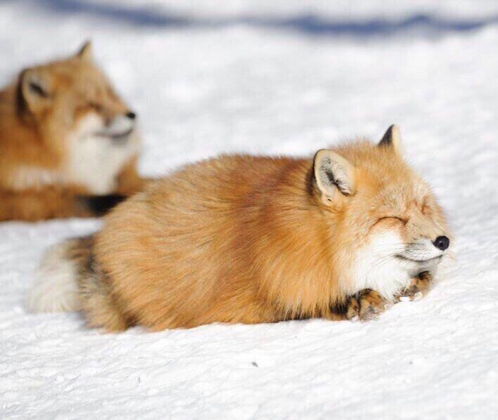 Name:  368hz7bdvaz91.jpg
Views: 238
Size:  42.1 KB