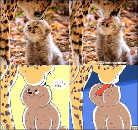 Name:  FB_IMG_1668217593030.jpg
Views: 238
Size:  39.0 KB