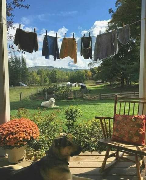 Name:  FB_IMG_1668214021505.jpg
Views: 220
Size:  42.6 KB