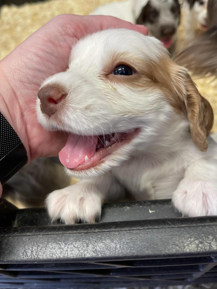 Name:  bwxdfvq3fgy81.jpg
Views: 78
Size:  90.7 KB