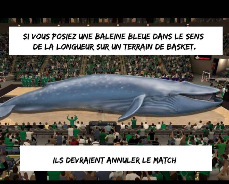 Name:  20221111_160328.jpg
Views: 26
Size:  89.0 KB