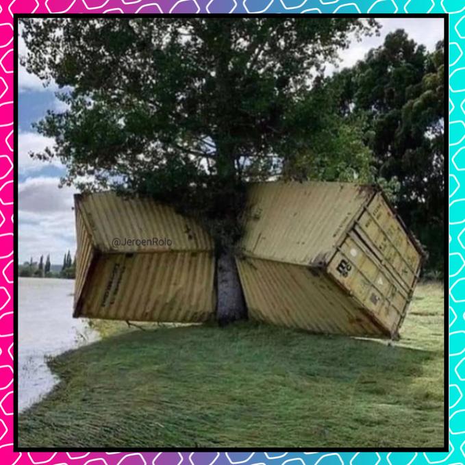 Name:  FhiKFzFX0AA5mRo.jpg
Views: 38
Size:  85.0 KB