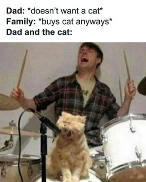 Name:  20221116_150245.jpg
Views: 29
Size:  34.2 KB