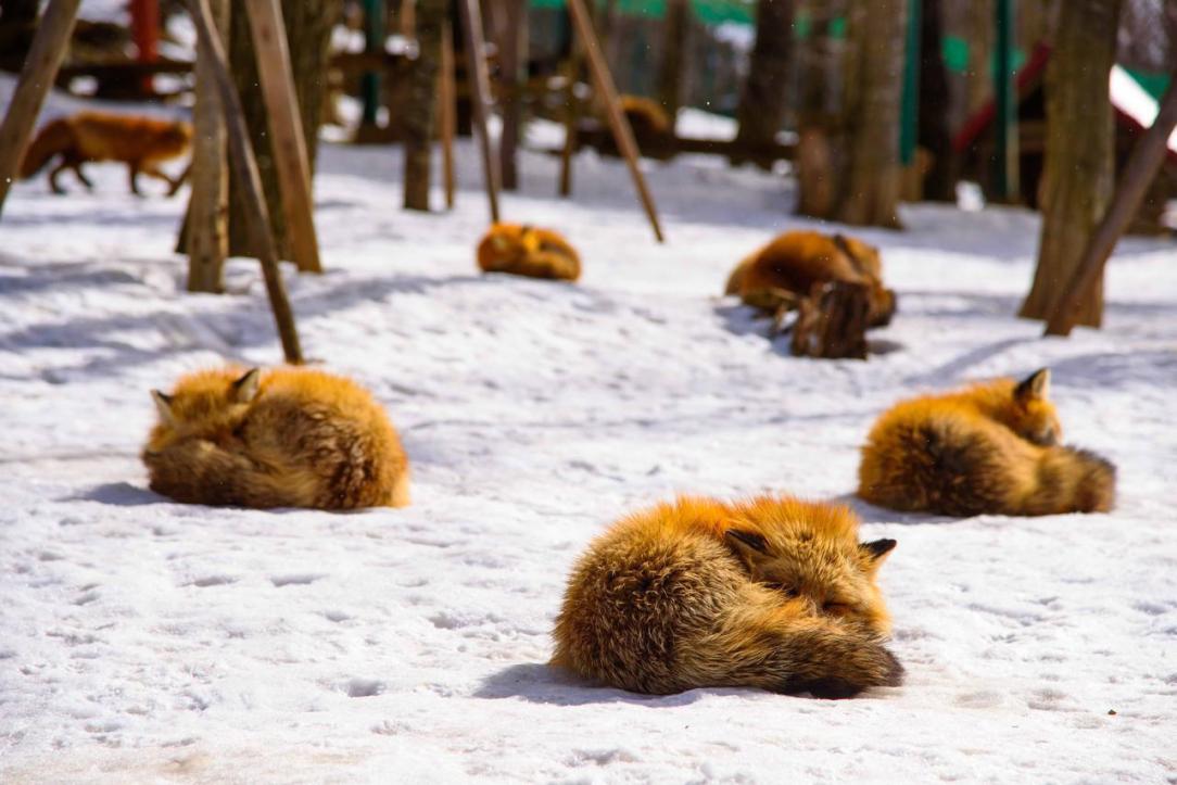 Name:  k5kt1lft6dd91.jpg
Views: 46
Size:  90.5 KB