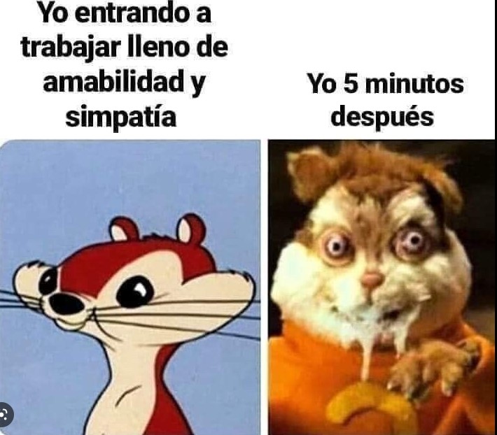 Name:  yo_y_otros.jpg
Views: 165
Size:  88.2 KB