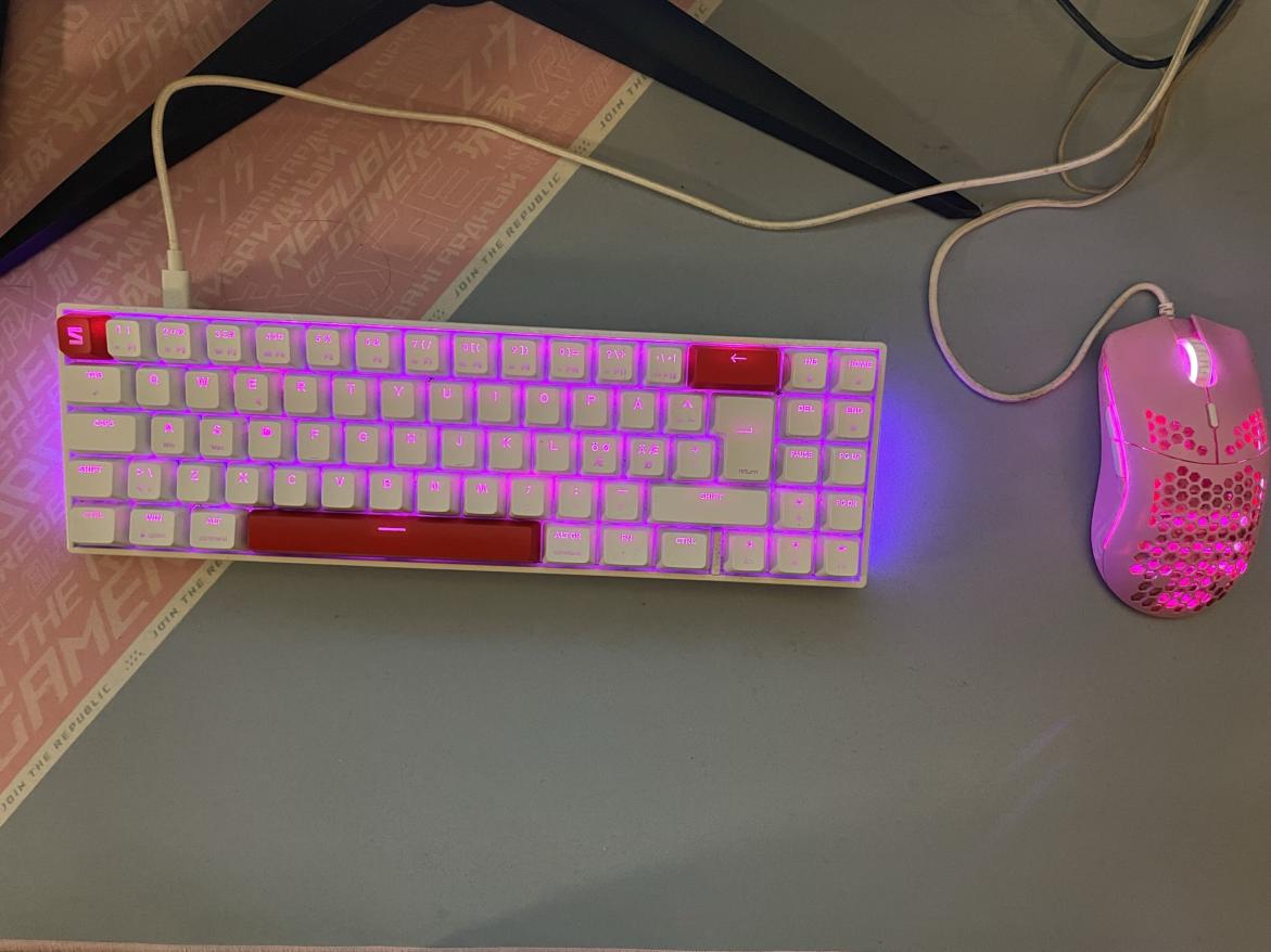 Name:  IMG_0564.jpg
Views: 316
Size:  88.5 KB