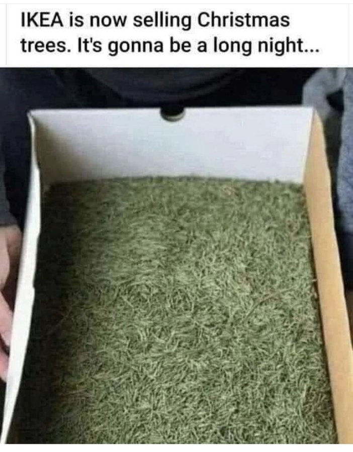 Name:  20221117_161251.jpg
Views: 55
Size:  95.4 KB