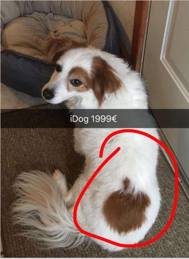 Name:  Cybermon.jpg
Views: 37
Size:  87.7 KB