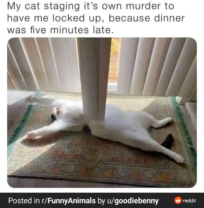 Name:  Fiua1SeWAAIrnbN.jpg
Views: 52
Size:  74.2 KB