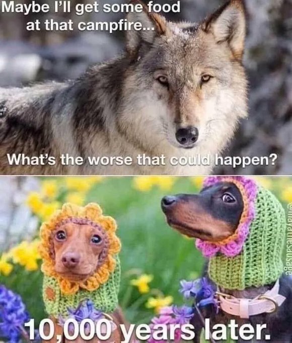 Name:  FizgpRoXkAEzI4k.jpg
Views: 52
Size:  84.4 KB