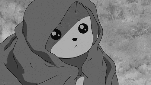 Name:  79r9.gif
Views: 113
Size:  726.2 KB