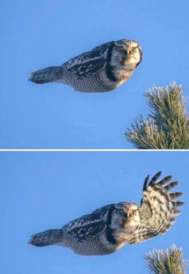 Name:  20221201_141107.jpg
Views: 43
Size:  58.1 KB