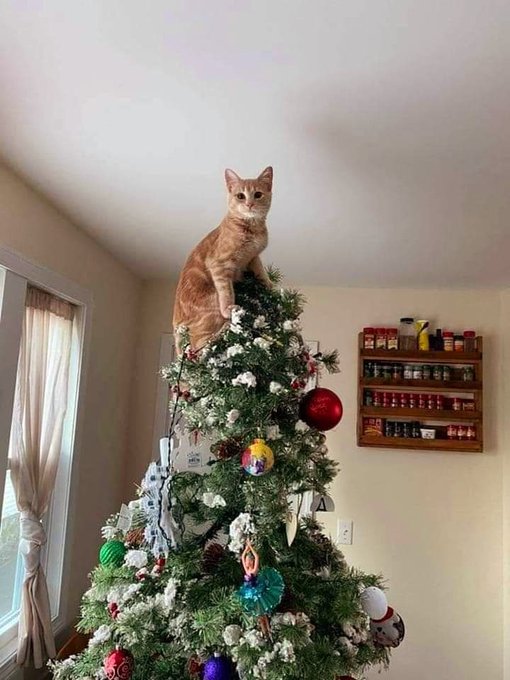 Name:  20221201_094040.jpg
Views: 42
Size:  63.7 KB