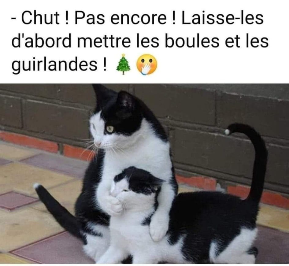 Name:  20221129_182735.jpg
Views: 41
Size:  66.0 KB