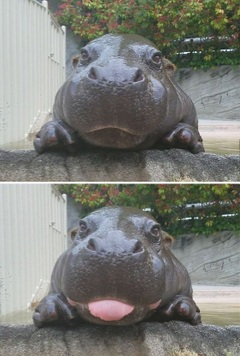 Name:  20221201_192846.jpg
Views: 40
Size:  36.0 KB