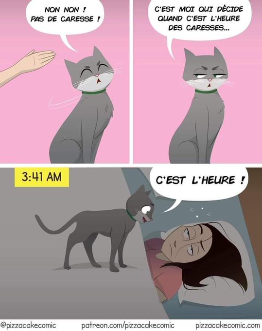 Name:  Fi1zkYCXgA4vxeS.jpg
Views: 67
Size:  45.0 KB