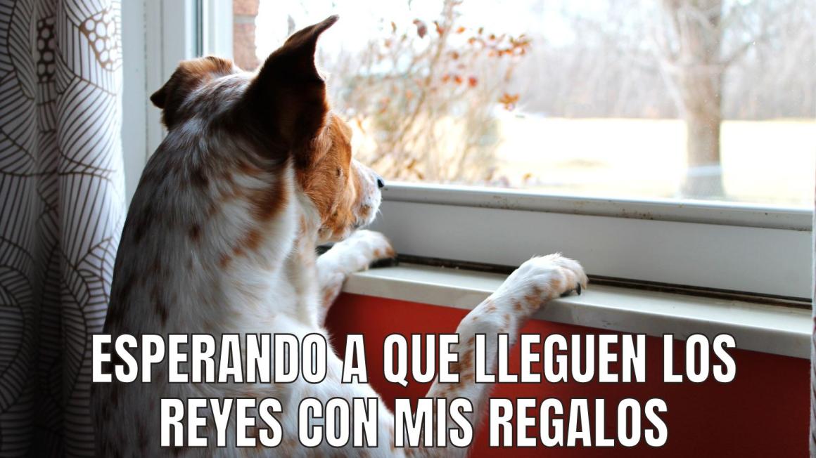 Name:  Memenavideno.jpg
Views: 689
Size:  94.6 KB