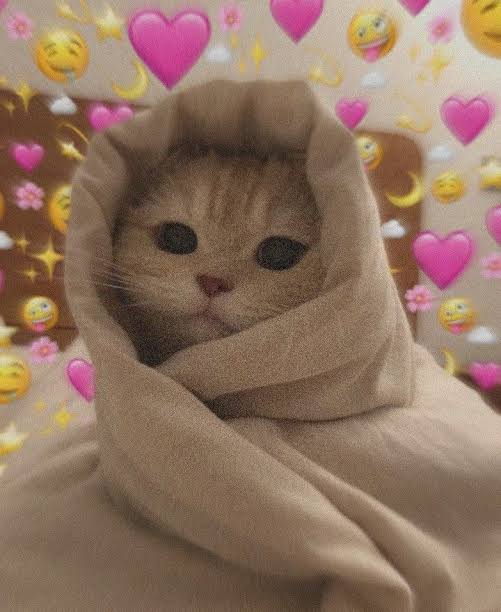 Name:  images (6).jpeg
Views: 114
Size:  29.2 KB