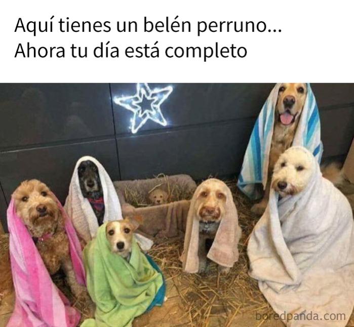 Name:  navimemes-11-5bffe3646ec7d__700.jpg
Views: 96
Size:  60.8 KB