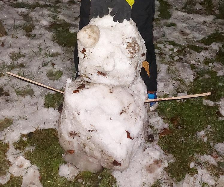 Name:  20221204_165310~2.jpg
Views: 67
Size:  97.2 KB