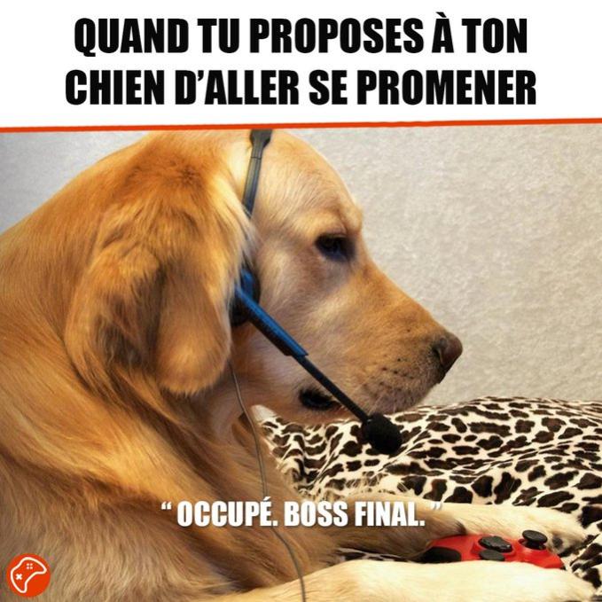 Name:  20221205_100331.jpg
Views: 62
Size:  78.0 KB