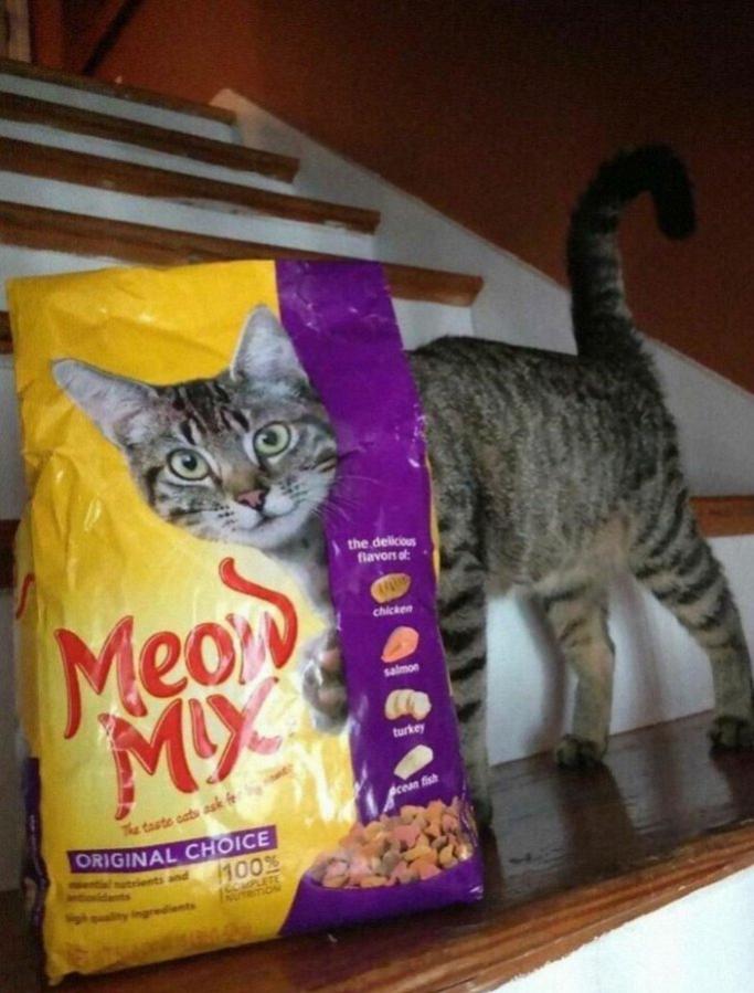 Name:  20221204_165616.jpg
Views: 61
Size:  75.7 KB