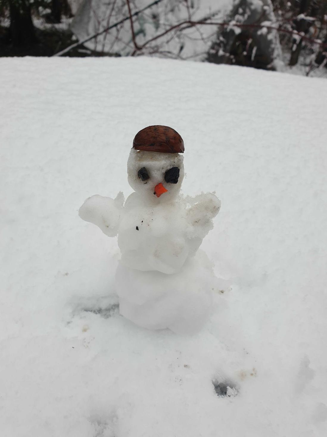 Name:  20201129_124613 (2).jpg
Views: 57
Size:  76.4 KB