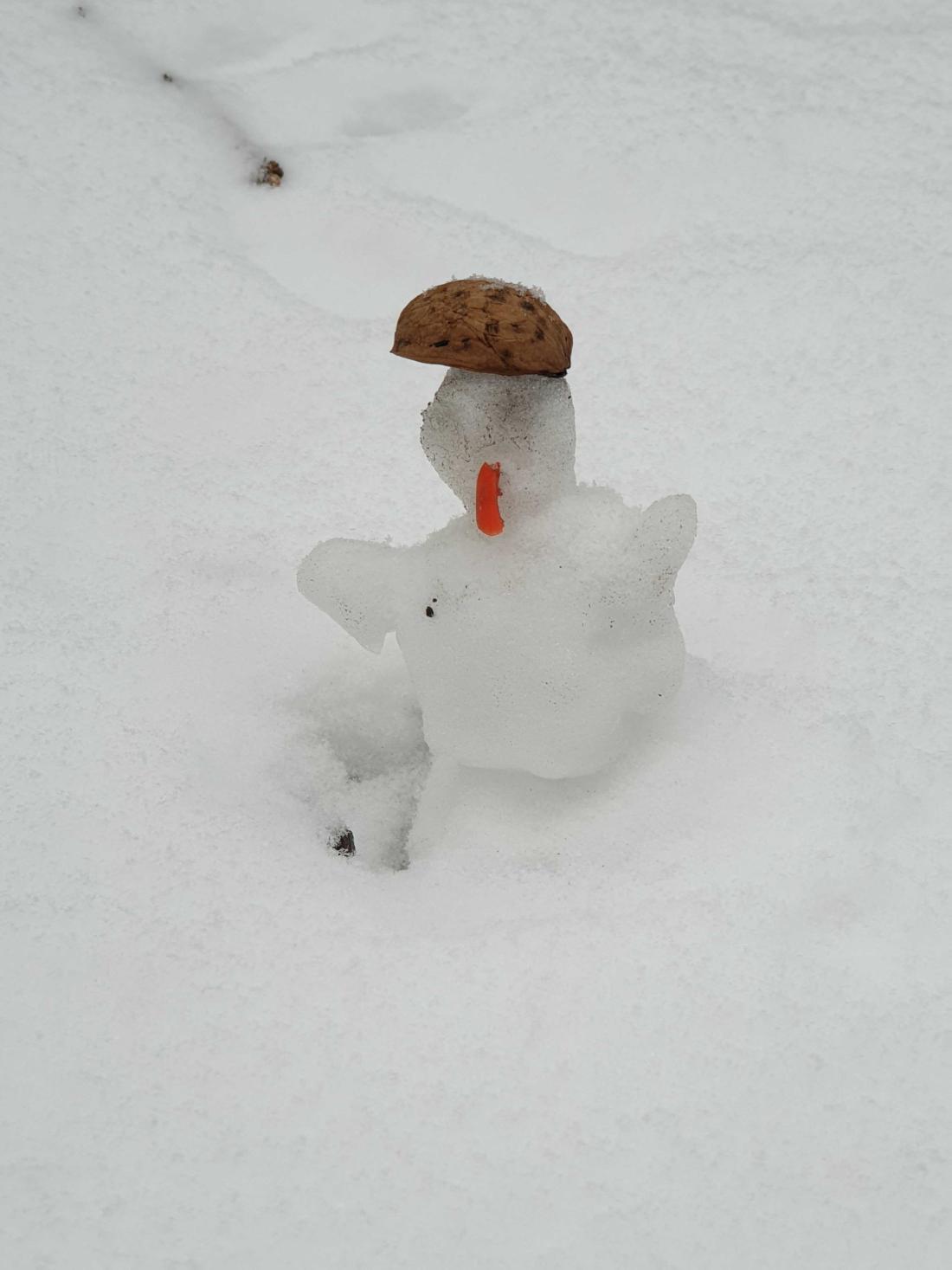 Name:  20201203_102334 (1).jpg
Views: 57
Size:  89.2 KB