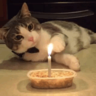 Name:  26re.gif
Views: 618
Size:  976.0 KB