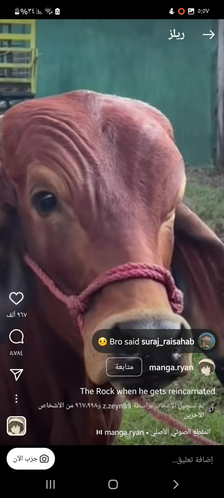 Name:  Screenshot_٢٠٢٢١٢٠٣-١٧٥٧٢٤_Instagram.jpg
Views: 124
Size:  87.7 KB