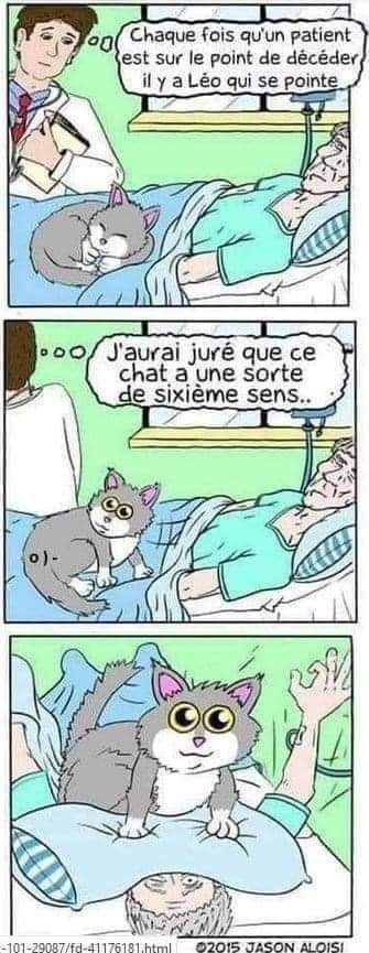 Name:  FjRY6hRXwAAHXVe.jpg
Views: 36
Size:  52.6 KB